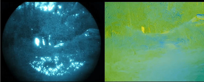 The Different Types of Night Vision Goggles (And How to Choose) - Good Nite Gear