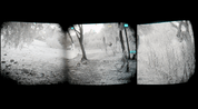 A quad pano night-vision outdoor scene showing trees, grass, and a snowy or bare ground surface, with black letterbox bars around the three panels.