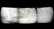 A quad pano night-vision style outdoor scene showing snow-covered trees and ground, with a black surround and small cyan interface marks near the top center.