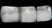 A quad pano nvg night-vision outdoor scene showing a road or driveway bordered by trees and a building, with a blurred central area obscuring part of the scene and an ir laser and illuminator.